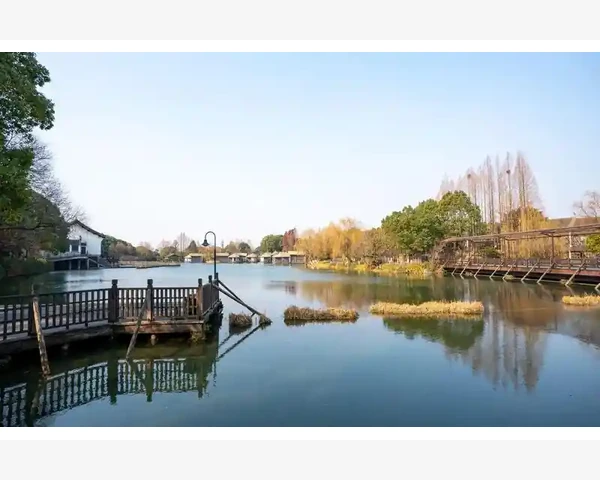 止咳化痰，利尿健脾——白萝卜的神奇功效